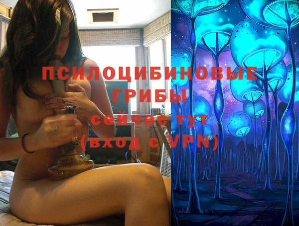 спиды Гусиноозёрск