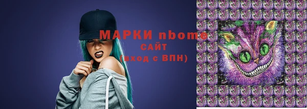стаф Гусь-Хрустальный
