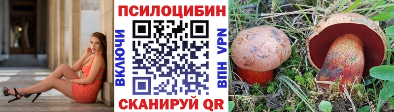 Купить где  Невьянск  Псилоцибиновые грибы Psilocybe 